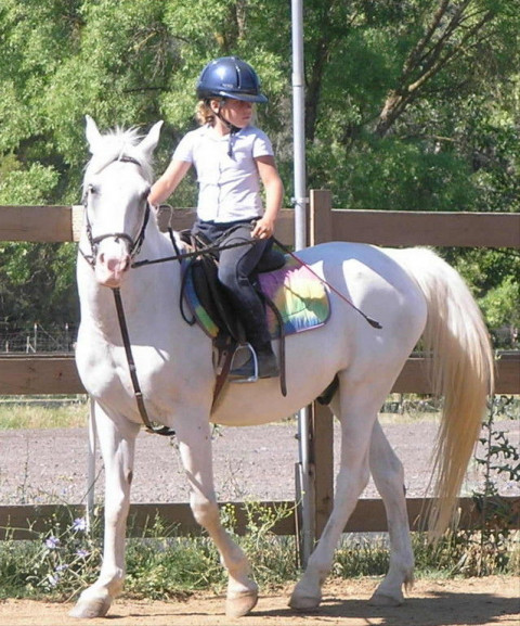 Visit Own A Horse For A Week Summer Day Camp