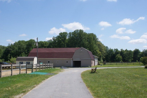 Visit GreenSpring Stable