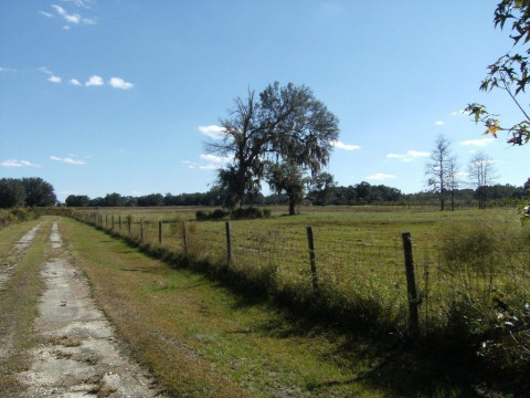 Visit Thumbs Up Riding School