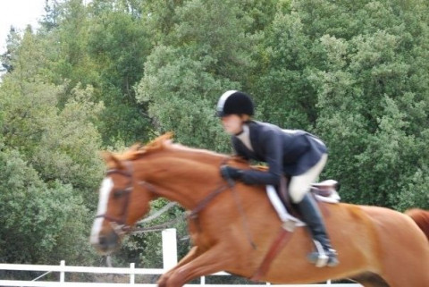 Visit Shaker Hill Riding Instruction