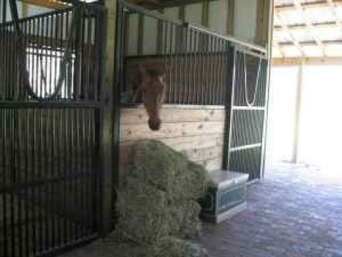Visit Lake Howell Equestrian Center