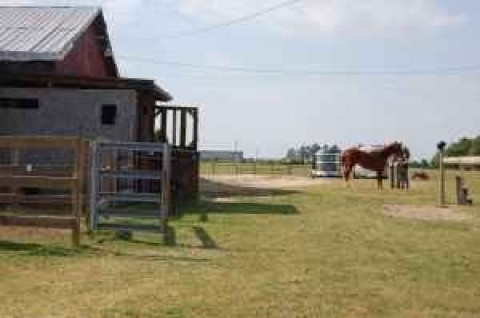 Visit (Tm's Farm)UPGRADED TO GREAT ESCAPE!!!  COME SEE US!