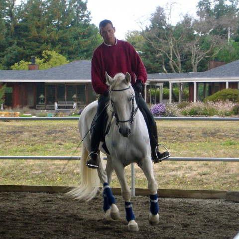 Visit Jack Burns Horse Training