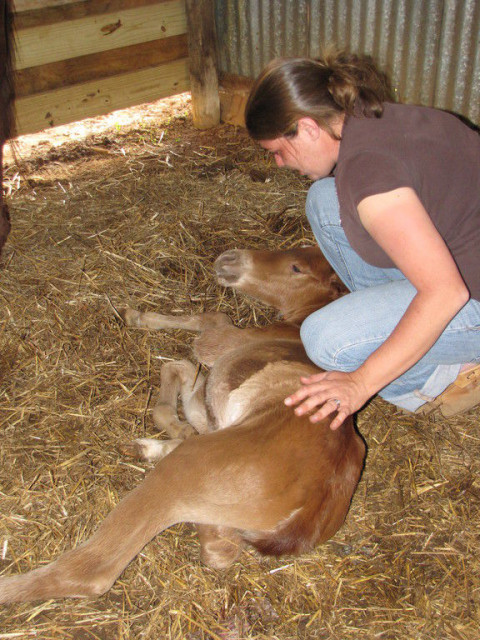 Visit Pasture Board in North Forsyth County