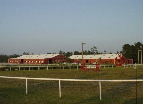 Visit Peachtree Equestrian Center