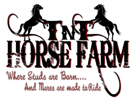 Visit TnT Horse Farm -Nikita Smith