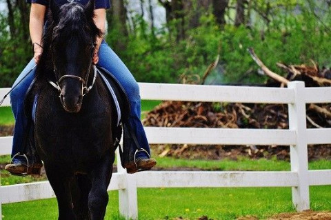 Visit Armani Stables