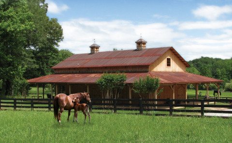 Visit Trilogy Barn and Stable Company