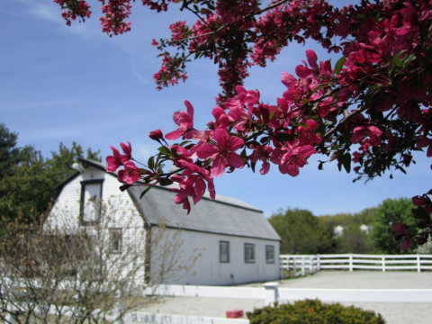 Visit WINDSONG FARM Wrentham Ma