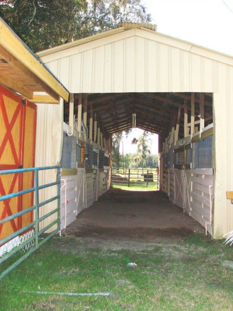 Visit In His Hands Ranch & Saddlebreds