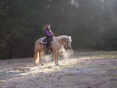 Visit Triple J Ranch