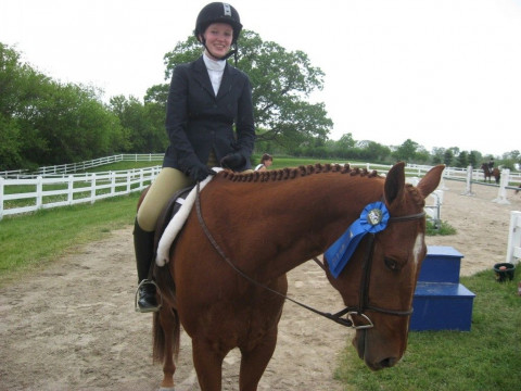 chestnut dundee boarding horse