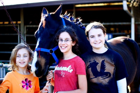 Visit Traditional Equitation School