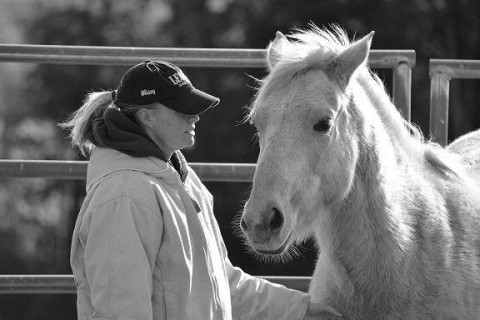 Visit Fierce Beauty Horsemanship