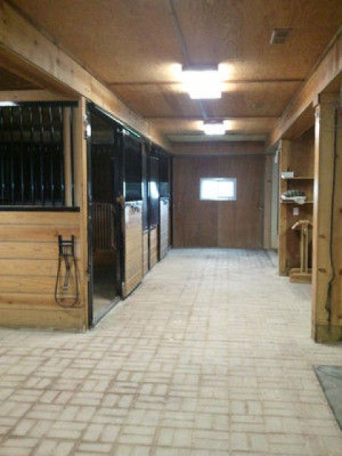Visit Private Facility-easy keeper/gentle--leisure rider or retired horse