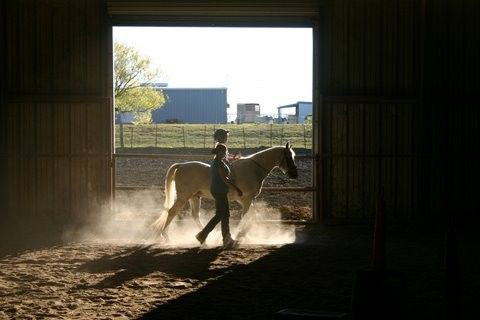 Visit Highland Horses School of Riding