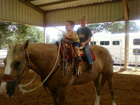 Visit Western Riding Lessons @ Neubauer Ranch