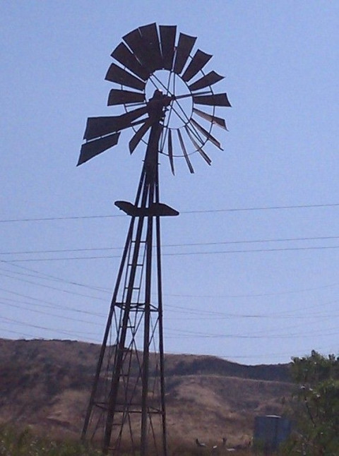 Visit Windmill Ridge (WR) Horse Ranch