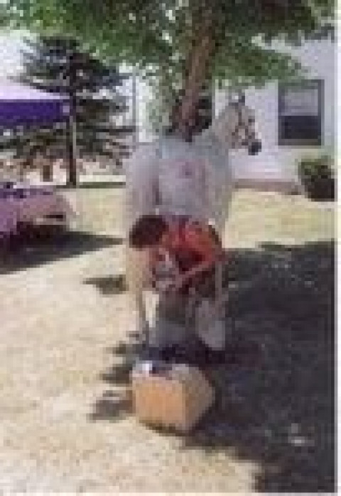 Family Farrier - Farrier in Quenemo, Kansas