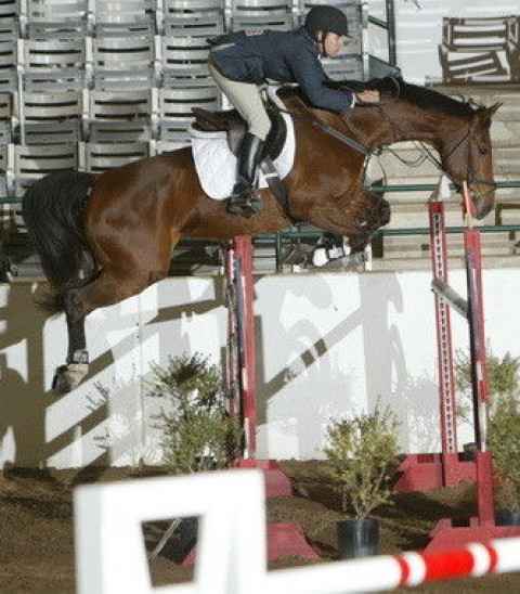 Visit Juan Gonzalez -  Equine International