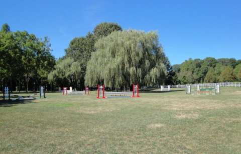 Visit Horse on a Hill Farm