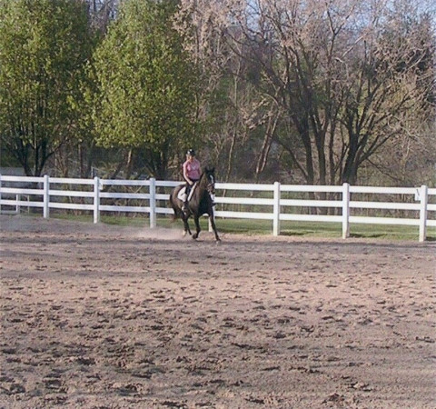 Visit Johnson Horse Riding School