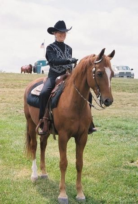 Visit Horseback Riding Lessons In Kansas City