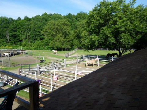 Visit R&R Dude Ranch