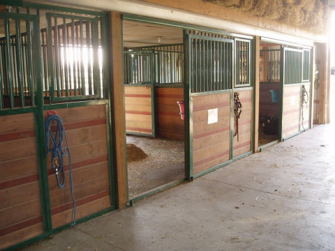 Visit GameFarm Stables, LLC