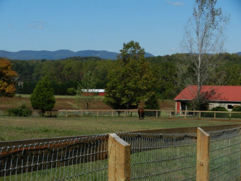 Visit TopLine Farm