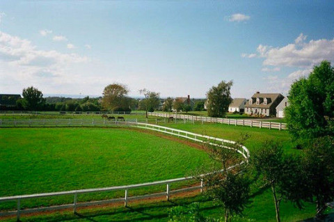 Visit Anne Benson Stables