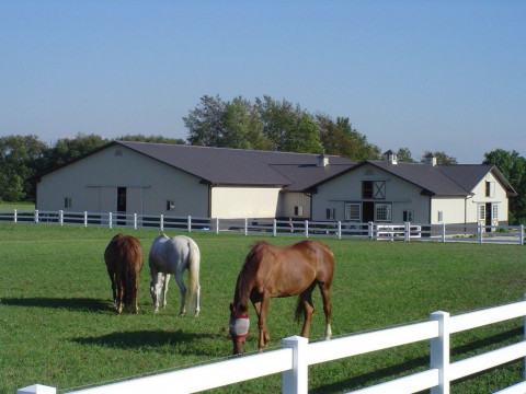 Visit DC Equestrian Imports (Edelweiss Farm)