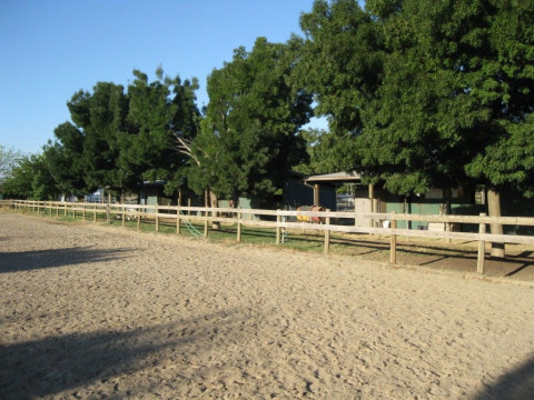 Visit Butte Creek Horse Club