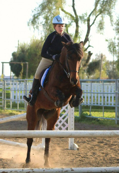 Visit Jump for Joy Equestrian
