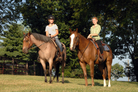 Visit Horse Quarters Farm