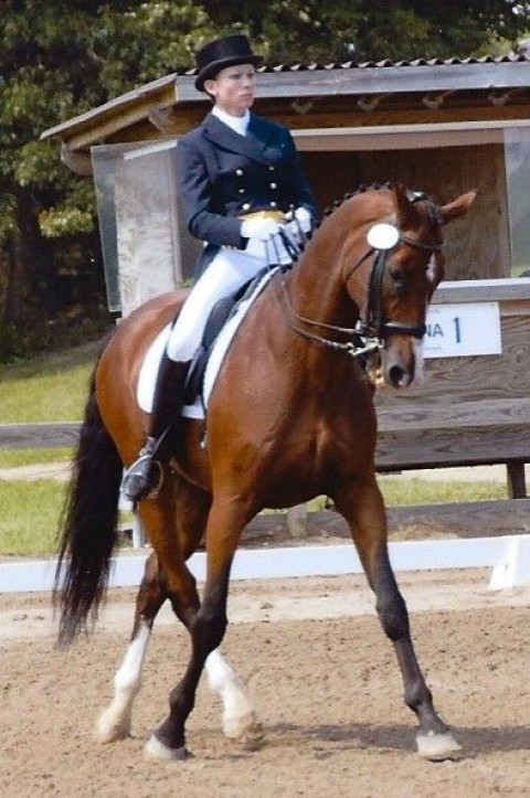 Visit Every Stride Dressage, llc