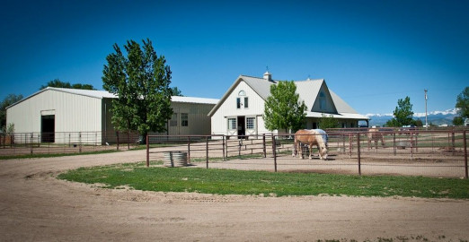 Visit Four Star Stables