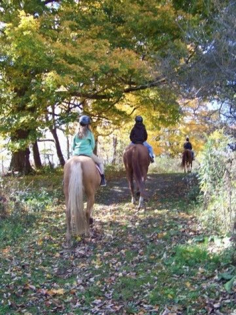 Visit Turner Hill Farm - Equestrian Facility