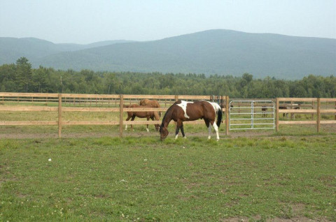 Visit Keyser Farm