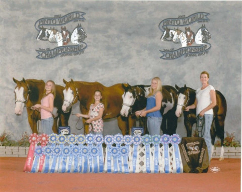 Visit Fiery Show Horses