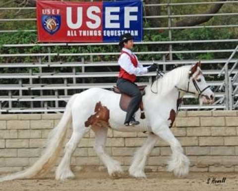 burbank equestrian bennett