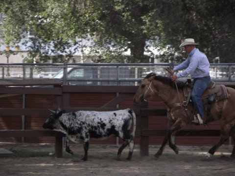 Visit Diamond O Performance Ranch