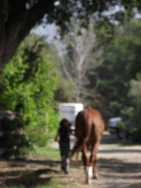 Visit Diamond O Performance Ranch