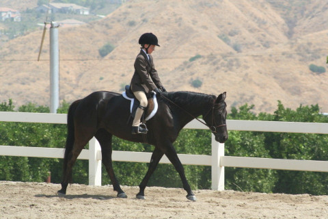 Visit Lindall Hunters