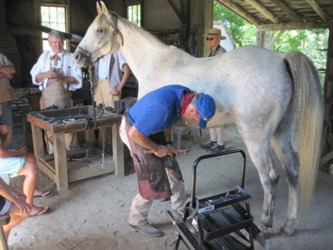 Visit Richards Horseshoeing