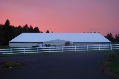 Visit Wacker Performance Horses