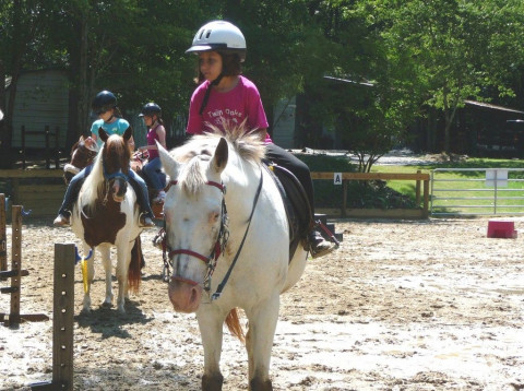 Visit The Riding School at Casey Arabians, LLC