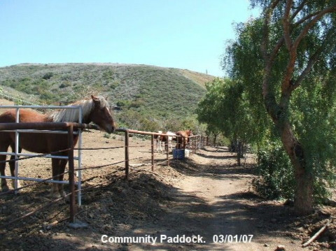 Visit Camarillo Springs Ranch