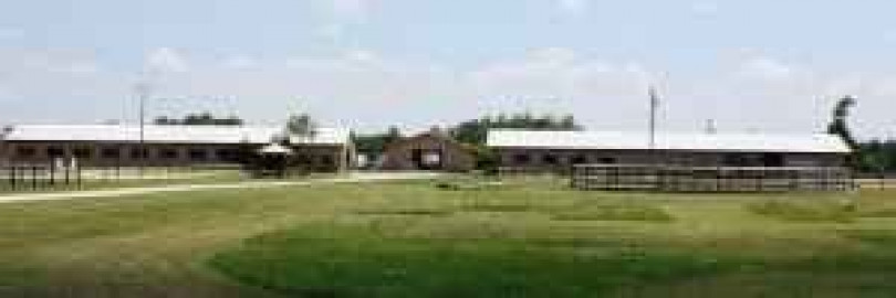 Visit Castle Guard Stables
