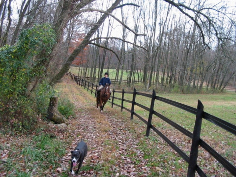 Visit Matilda Hill Farm